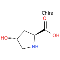 L-羟基脯氨酸
